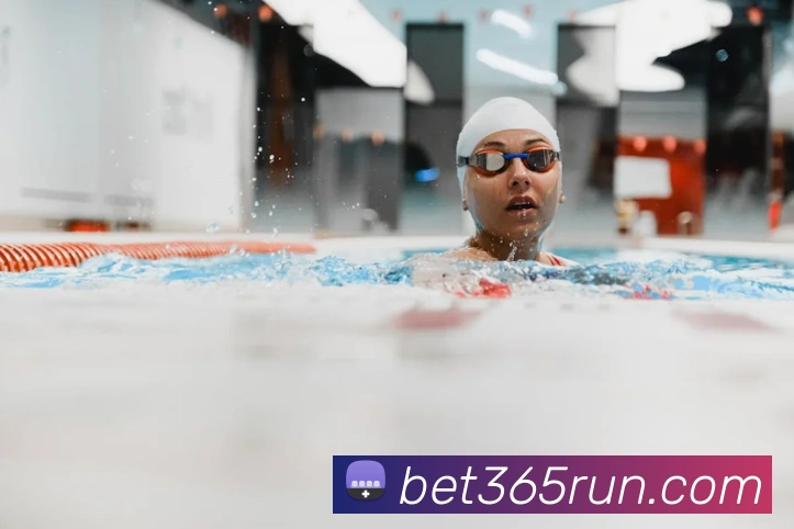 Bet365体育平台生态图